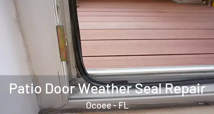 Patio Door Weather Seal Repair Ocoee - FL