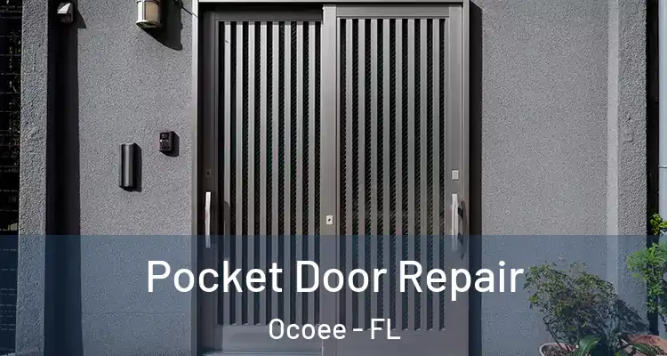 Pocket Door Repair Ocoee - FL