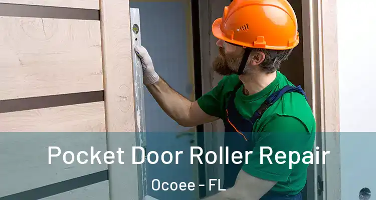 Pocket Door Roller Repair Ocoee - FL