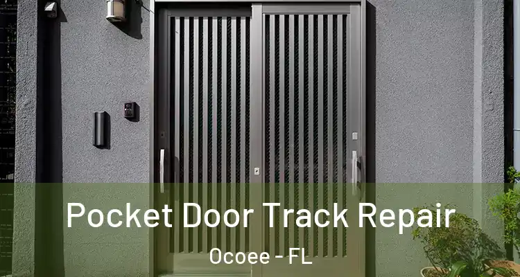 Pocket Door Track Repair Ocoee - FL