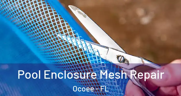 Pool Enclosure Mesh Repair Ocoee - FL