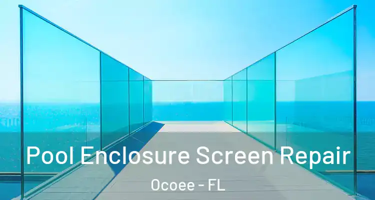 Pool Enclosure Screen Repair Ocoee - FL