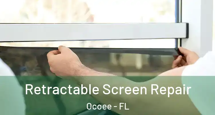 Retractable Screen Repair Ocoee - FL