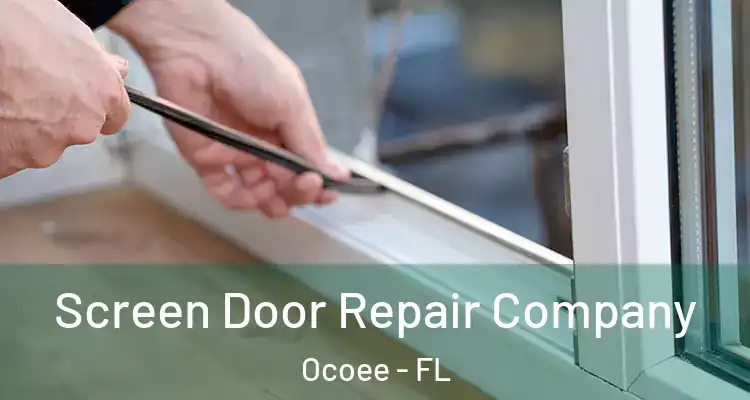 Screen Door Repair Company Ocoee - FL