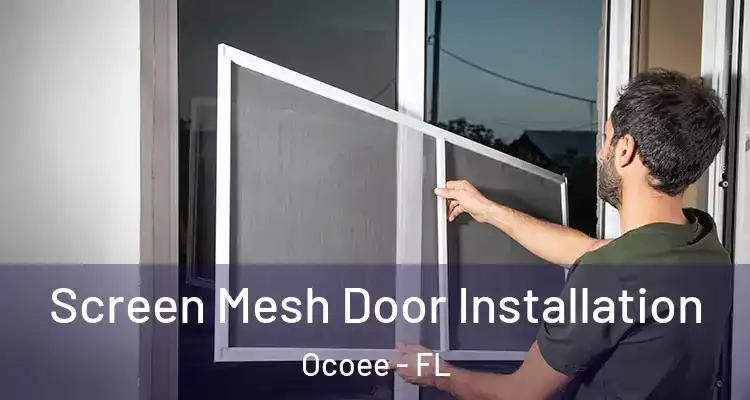 Screen Mesh Door Installation Ocoee - FL
