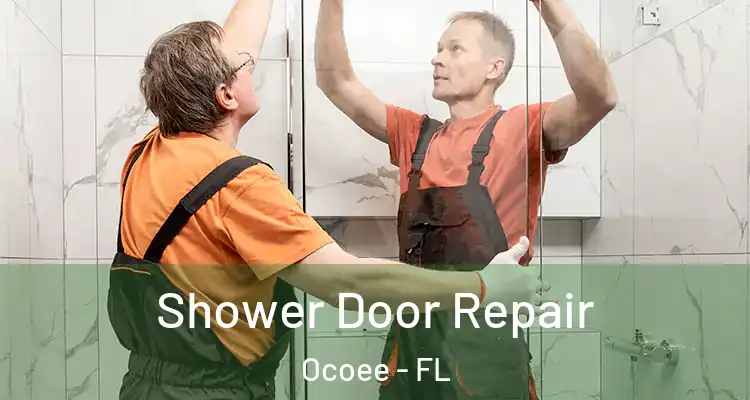 Shower Door Repair Ocoee - FL