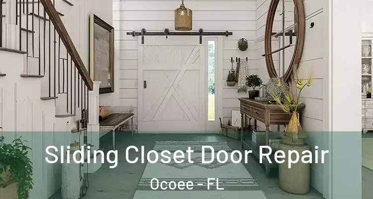 Sliding Closet Door Repair Ocoee - FL