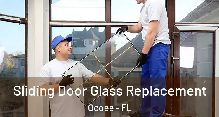 Sliding Door Glass Replacement Ocoee - FL