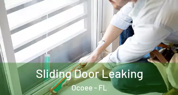 Sliding Door Leaking Ocoee - FL