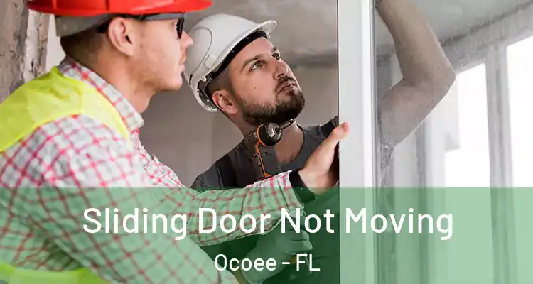 Sliding Door Not Moving Ocoee - FL