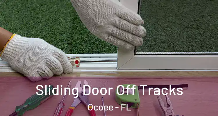 Sliding Door Off Tracks Ocoee - FL
