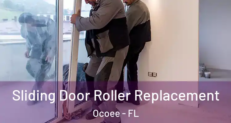 Sliding Door Roller Replacement Ocoee - FL
