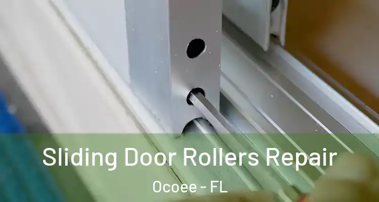 Sliding Door Rollers Repair Ocoee - FL