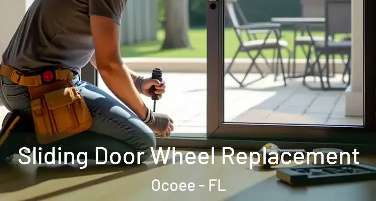 Sliding Door Wheel Replacement Ocoee - FL