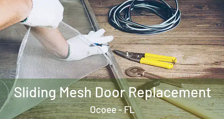 Sliding Mesh Door Replacement Ocoee - FL