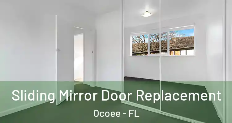 Sliding Mirror Door Replacement Ocoee - FL