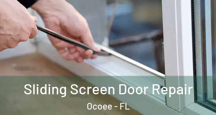 Sliding Screen Door Repair Ocoee - FL