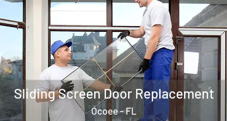 Sliding Screen Door Replacement Ocoee - FL