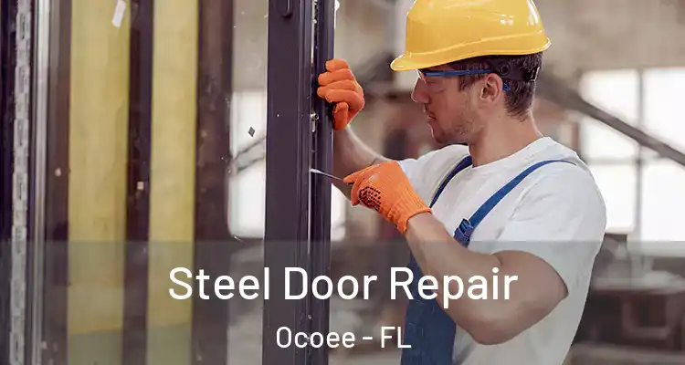 Steel Door Repair Ocoee - FL