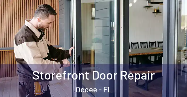 Storefront Door Repair Ocoee - FL