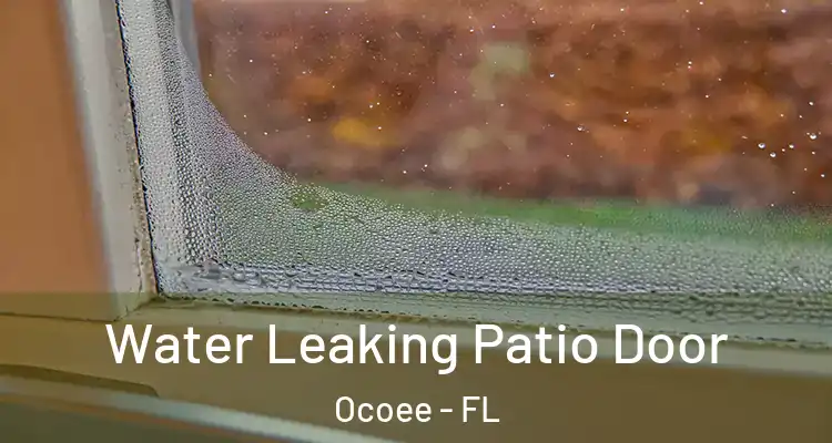 Water Leaking Patio Door Ocoee - FL
