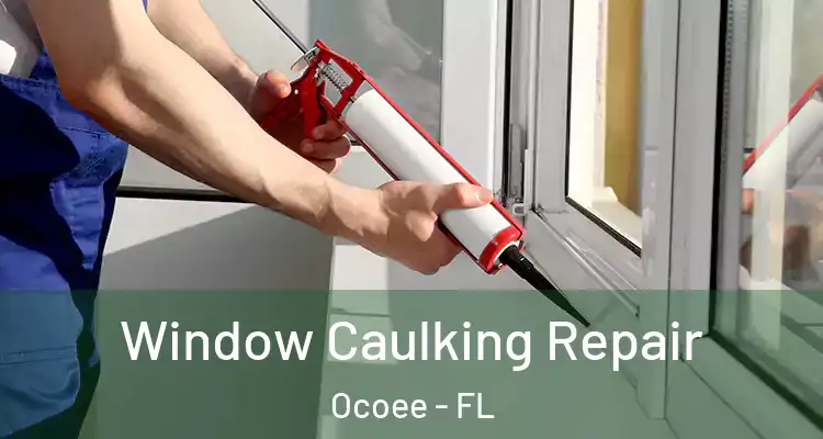 Window Caulking Repair Ocoee - FL