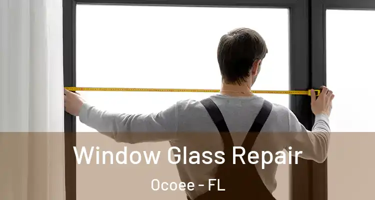 Window Glass Repair Ocoee - FL