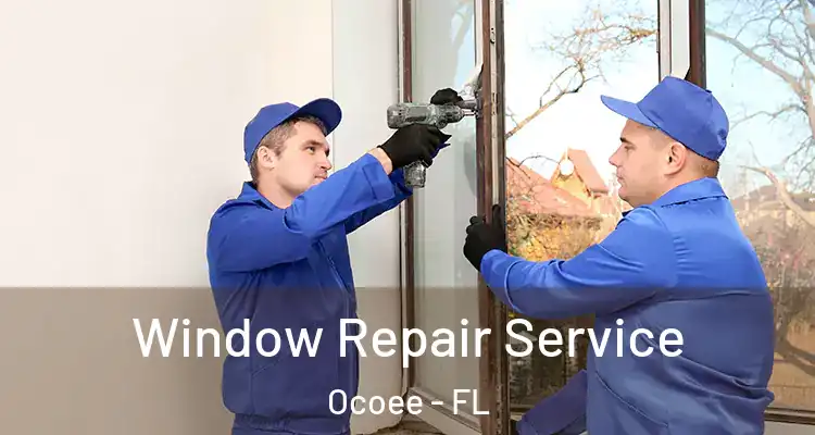 Window Repair Service Ocoee - FL