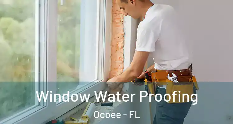 Window Water Proofing Ocoee - FL