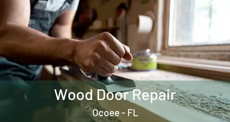 Wood Door Repair Ocoee - FL
